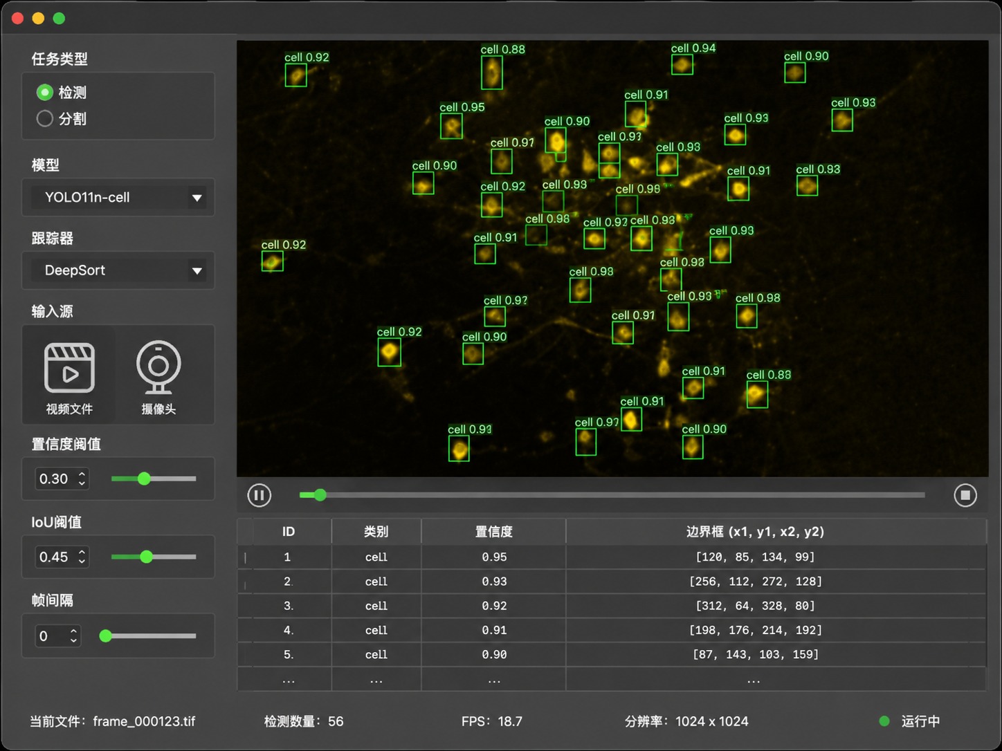 cell-detector 桌面应用截图：左侧推理控制面板含 YOLO11n-cell 模型与置信度 0.30 / IoU 0.45 阈值设置，中央视场显示约 30 余个被绿色检测框标注的荧光细胞及其置信度，底部为结构化结果表与 FPS 18.7、分辨率 1024×1024、状态运行中的实时状态栏。